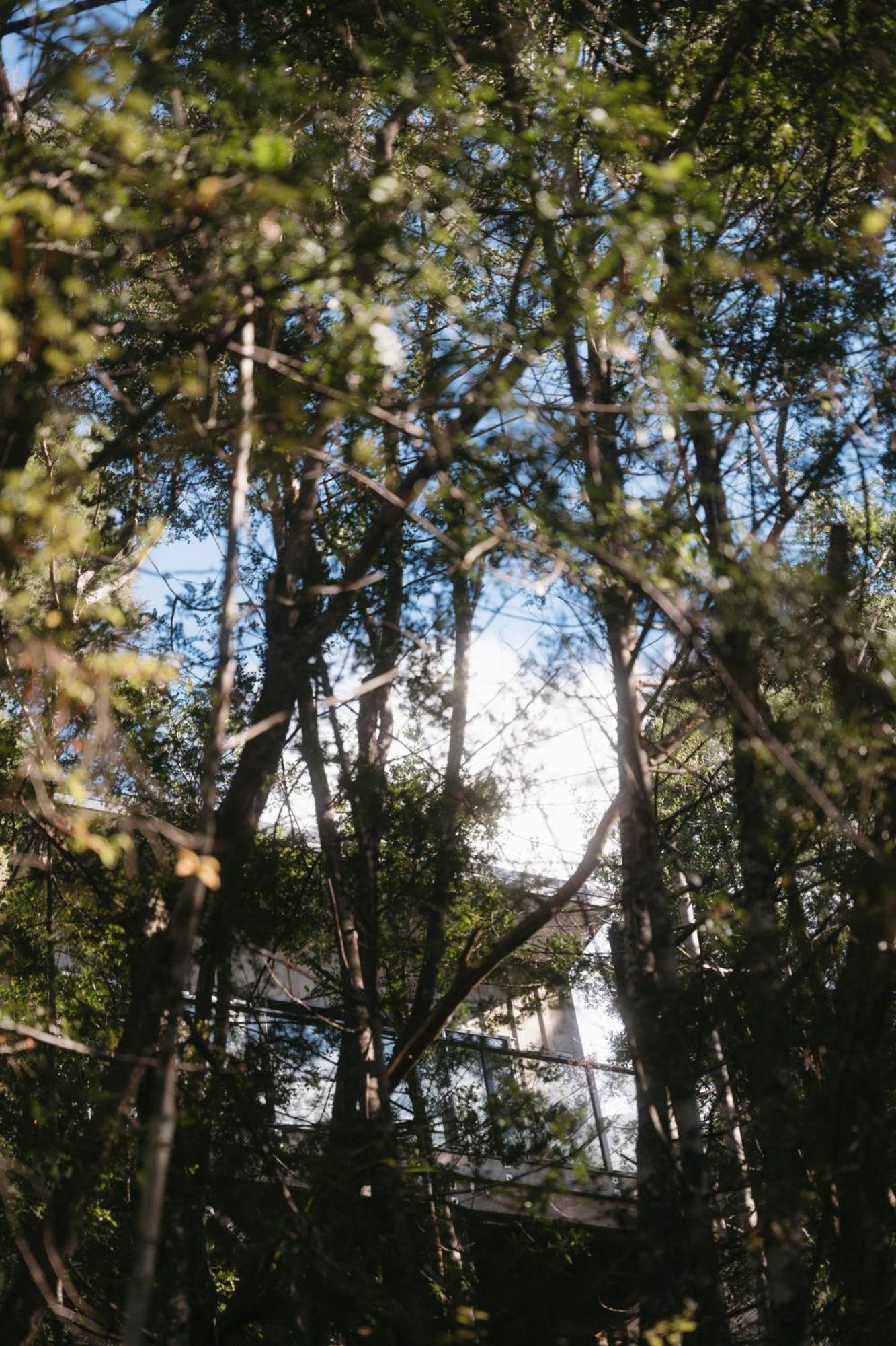Treetop Tranquility At Rekindle Tree Houses Opua エクステリア 写真