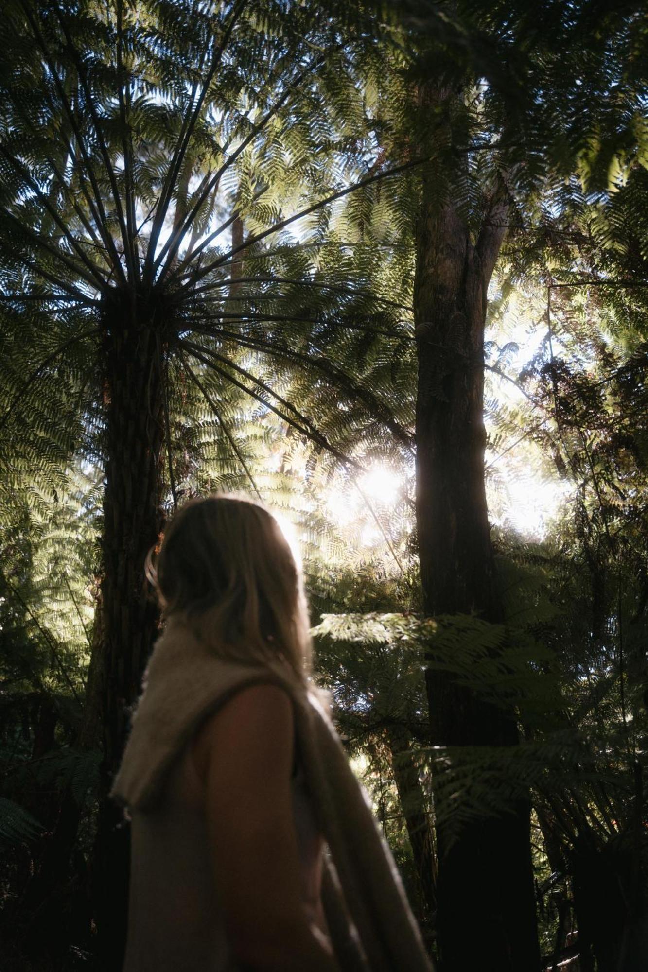 Treetop Tranquility At Rekindle Tree Houses Opua エクステリア 写真