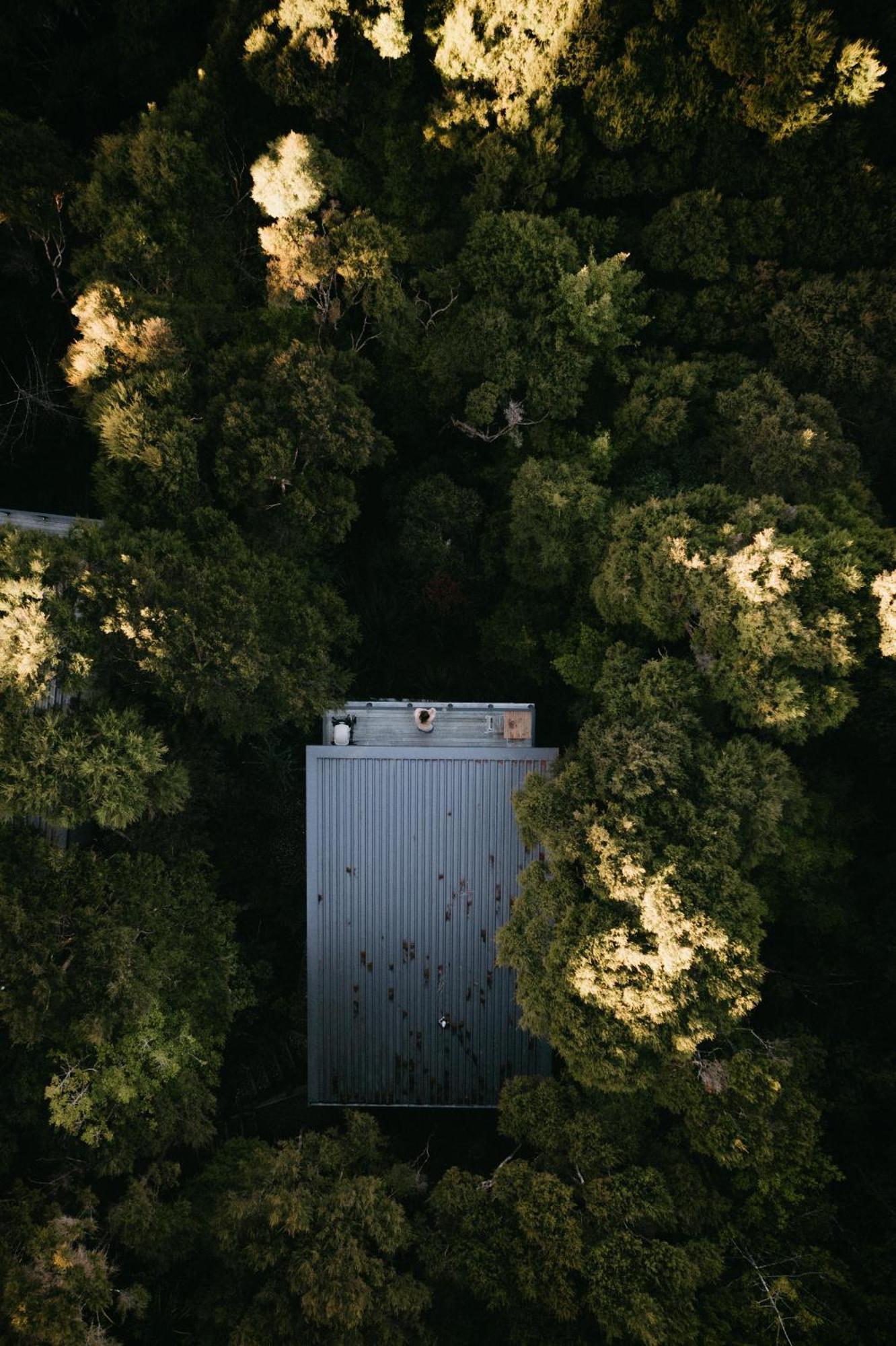 Treetop Tranquility At Rekindle Tree Houses Opua エクステリア 写真